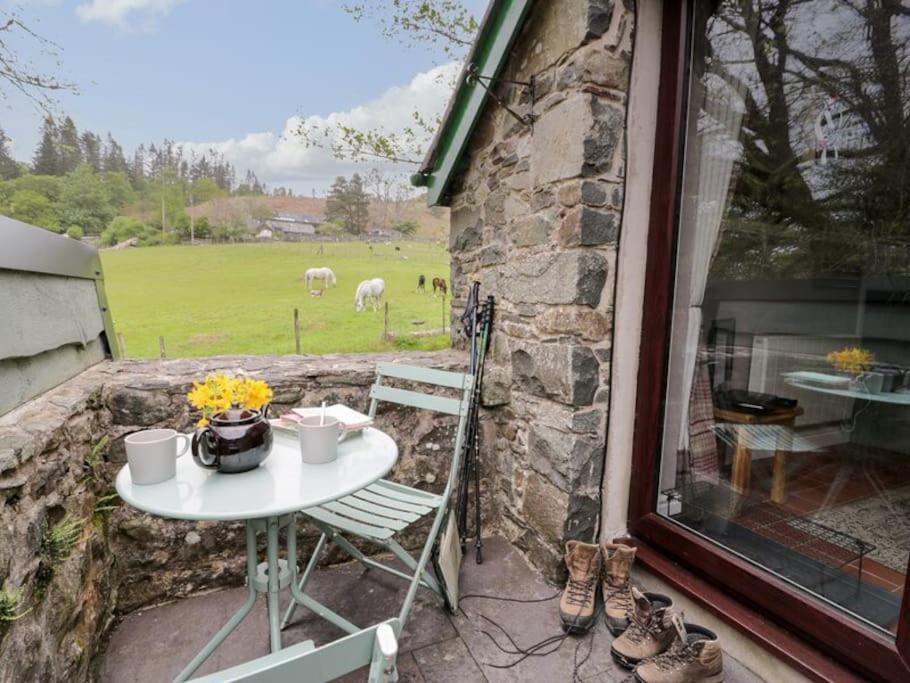 Y Gribyn - Modern Stone Cottage Within Snowdonia'S National Park Dolgellau Bagian luar foto