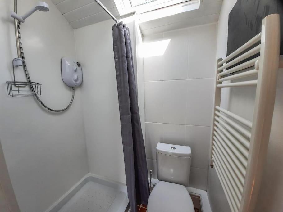 Y Gribyn - Modern Stone Cottage Within Snowdonia'S National Park Dolgellau Bagian luar foto