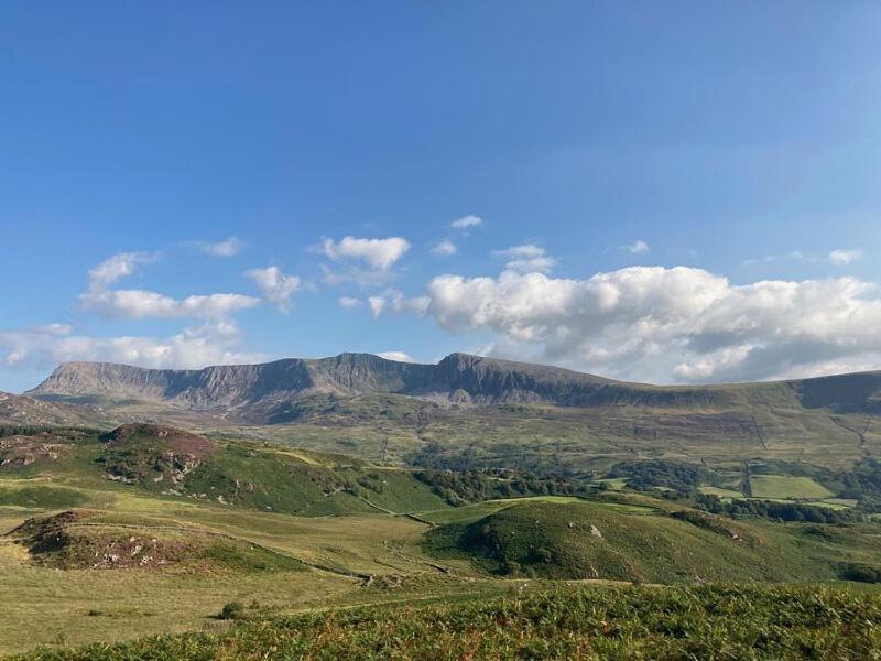 Y Gribyn - Modern Stone Cottage Within Snowdonia'S National Park Dolgellau Bagian luar foto