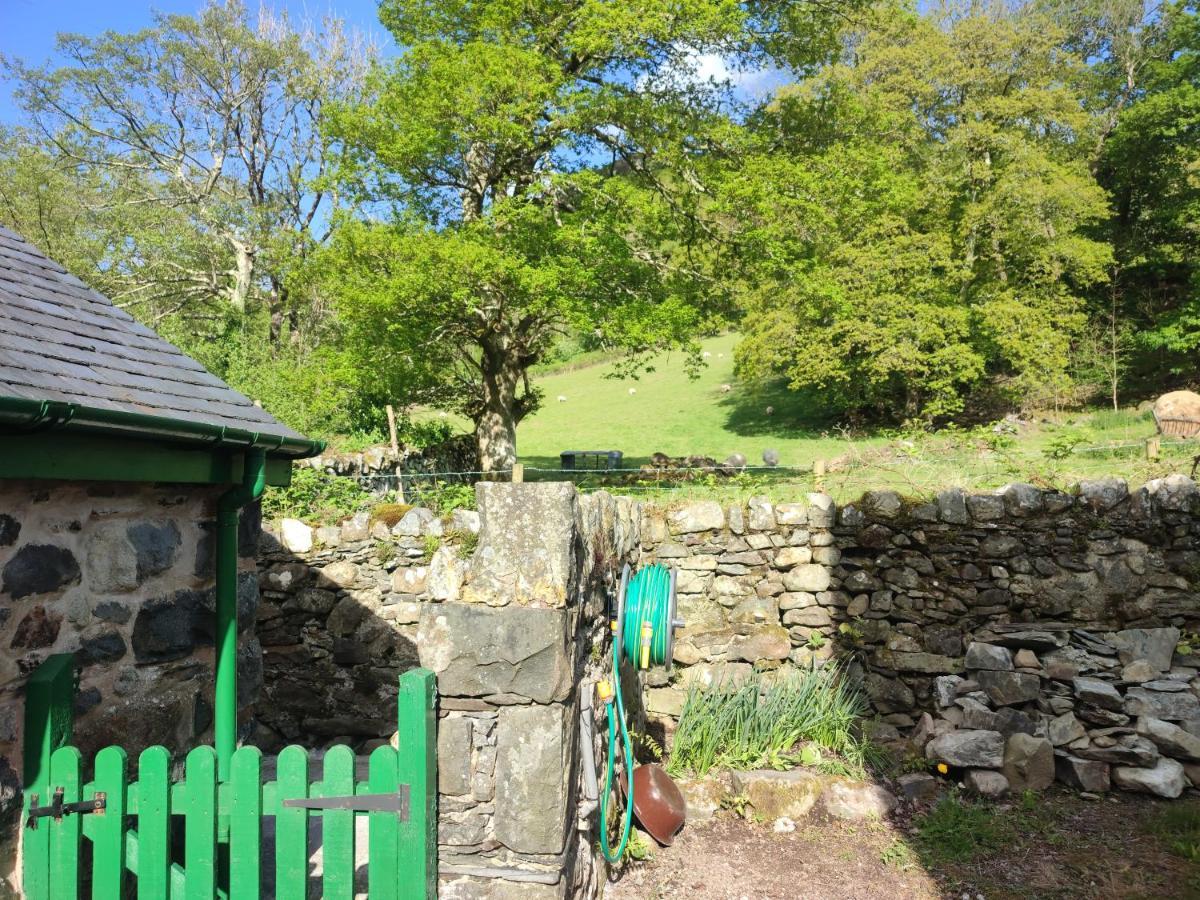 Y Gribyn - Modern Stone Cottage Within Snowdonia'S National Park Dolgellau Bagian luar foto