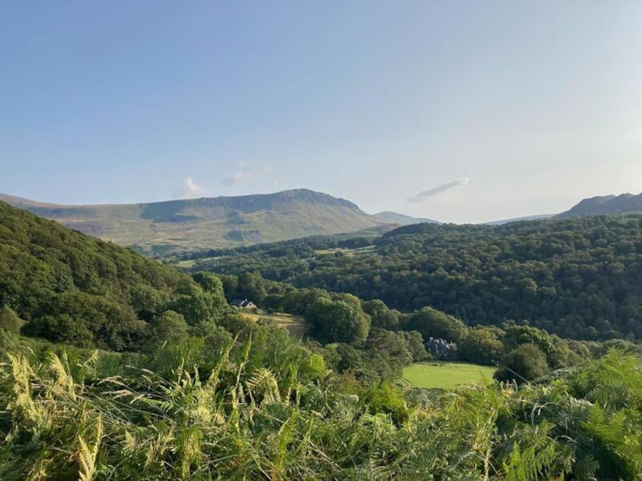 Y Gribyn - Modern Stone Cottage Within Snowdonia'S National Park Dolgellau Bagian luar foto