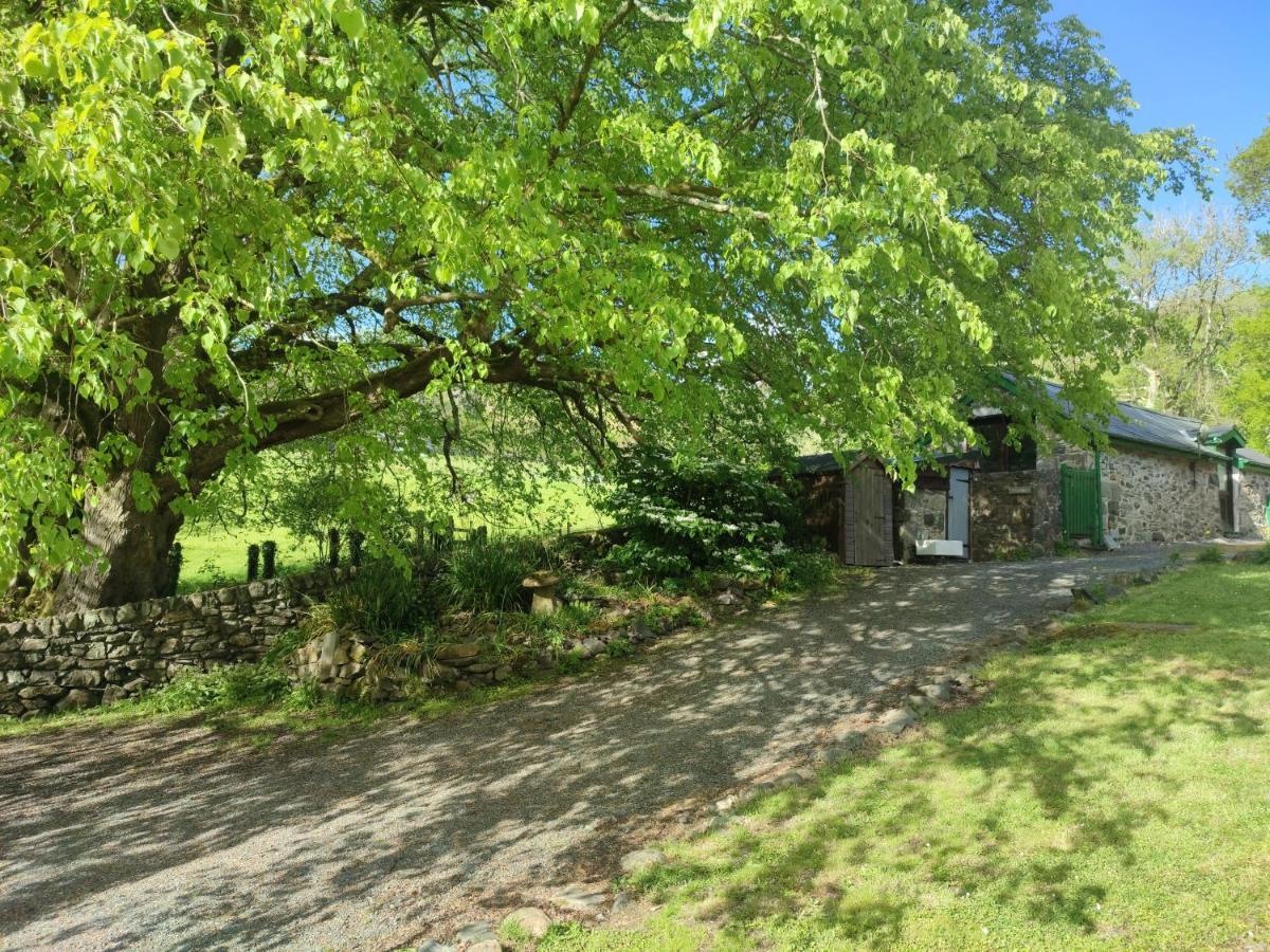 Y Gribyn - Modern Stone Cottage Within Snowdonia'S National Park Dolgellau Bagian luar foto